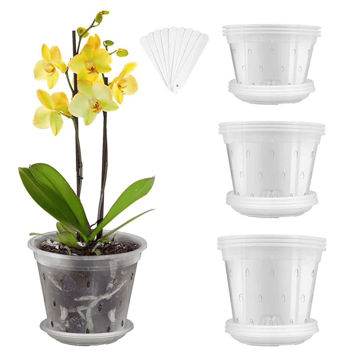 clear orchid pots